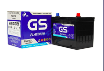 Ắc Quy GS Và Đồng Nai: Nên Chọn Thương Hiệu Nào Tốt Nhất?