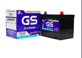 Ắc Quy GS Và Đồng Nai: Nên Chọn Thương Hiệu Nào Tốt Nhất?