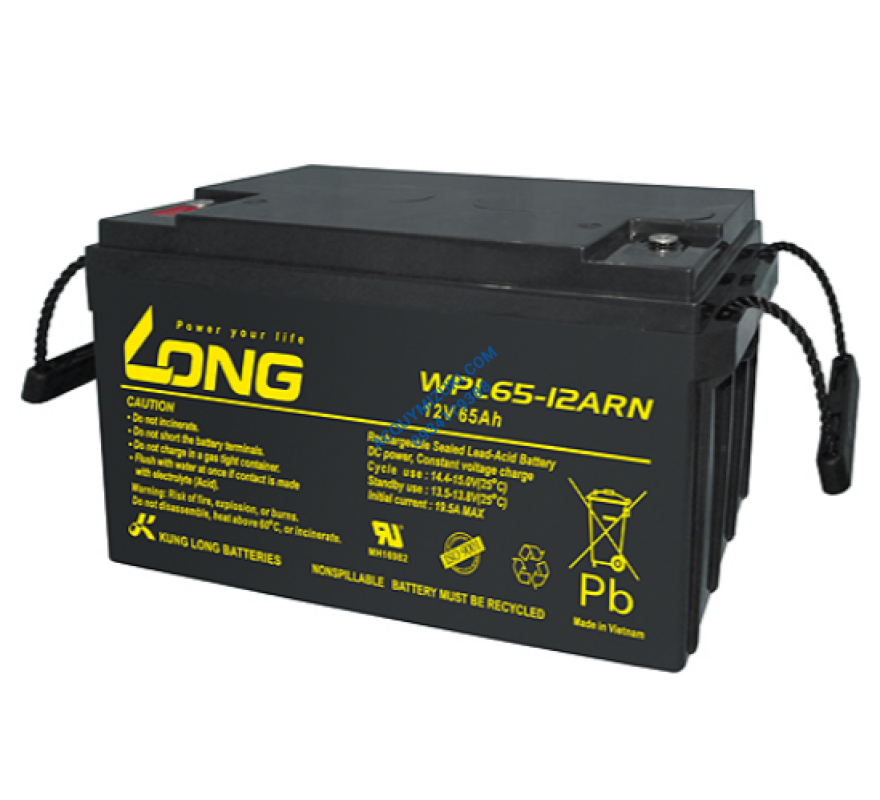 Bình ắc quy LONG WPL65-12ARN, F8-M6 12V 65AH